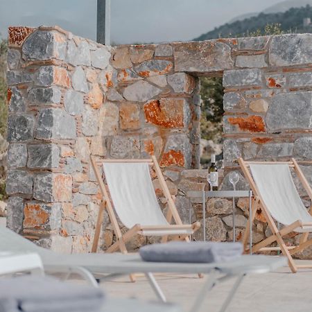 Villa Dioni Ena Pyrgos Bagian luar foto